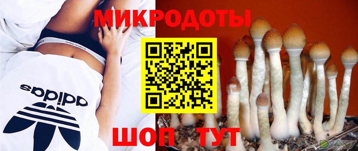 купить закладку  Вход с VPN  Коркино  Галлюциногенные грибы Cubensis  Галлюциногенные грибы Cubensis 