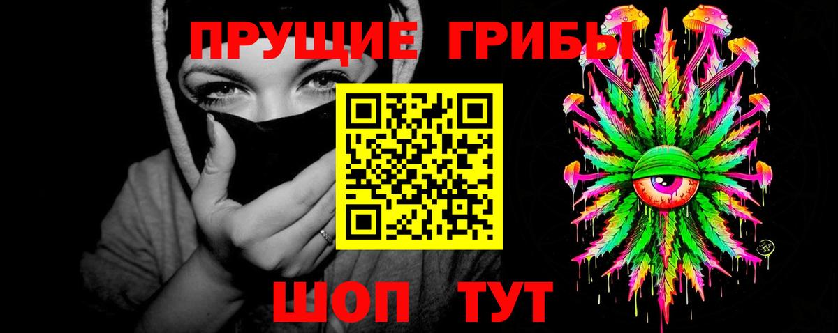 Псилоцибиновые грибы Cubensis Коркино