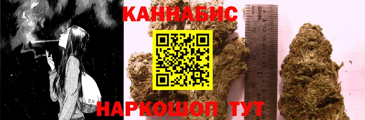 Конопля сатива Коркино